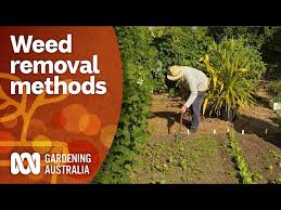 Remove Weeds Using These Effective
