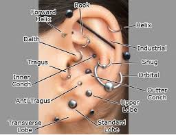 All Of The Names Of The Ear Piercing Types Of Ear