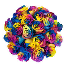 Check spelling or type a new query. Tinted Rainbow Roses 50 Cm Fresh Cut 50 Stems Walmart Com Walmart Com