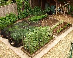 Large Scale Gardening Tips For Preppers