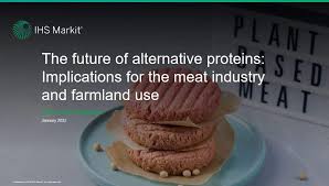 the future of alternative proteins