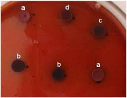 And (d) slime negative bacteria showing pink coloured colonies. Modification Of The Congo Red Agar Method To Detect Biofilm Production By Staphylococcus Epidermidis Sciencedirect