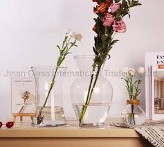 glass vase table top hydroponic plant