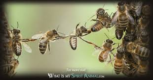 Bee Symbolism Meaning Spirit Totem