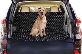 Best Car Seats For Dogs And Why You