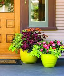 21 Colorful Outdoor Plants For Patio