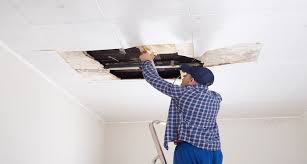 Ceiling Replacement Cost