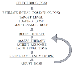 Drug Prescribing Flow Chart Showing The Potential