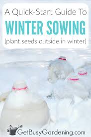 winter sowing seeds a quick start