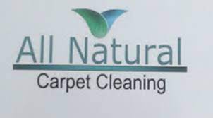 carpet cleaning services union nj