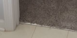 Seamless Carpet To Hardwood Floor