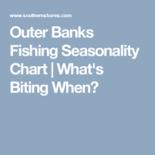 Outer Banks Fishing Seasonality Chart Whats Biting When