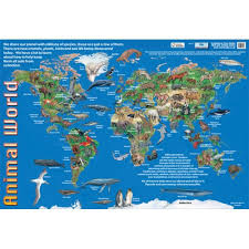Animal World Information Chart Poster