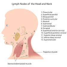 lymph node biopsy call fort worth ent