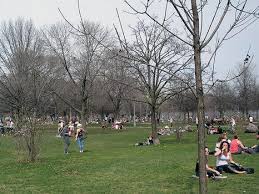 West, making it very convenient and easily accessible. Trinity Bellwoods Park Toronto Holidayen