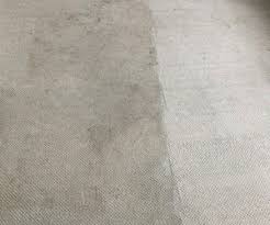 affordable brighton carpet cleaner