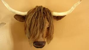 Highland Cow Faux Taxidermy Mount