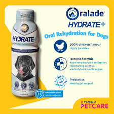 ade hydrate dog rehydration