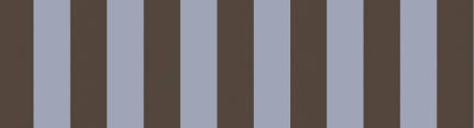 the camelot stripe print
