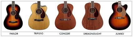 The Acoustic Body Shapes You Should Know