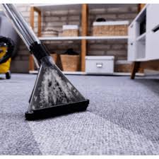 commercial floor steam cleaner ivo