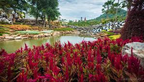 nong nooch tropical garden pattaya