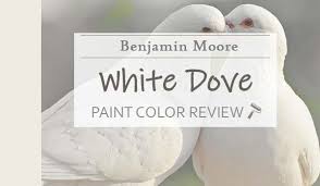 Benjamin Moore White Dove Review The