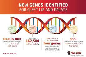 cleft lip and palate research