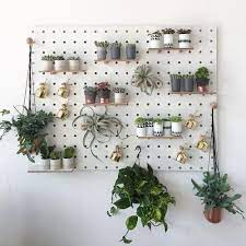 Use Pegboards For Plants