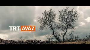 TRT -AVAZ on Vimeo