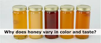 Why Does Honey Vary In Color Texture And Taste The Honey Jar