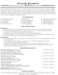 Combination Resume Examples Designer Resume Template Examples