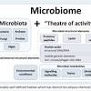 Roles of Microbes in Dna Research
