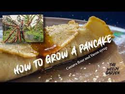 cava from garden to table pancakes