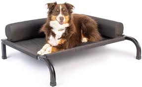 Petfusion Ultimate Elevated Outdoor Dog
