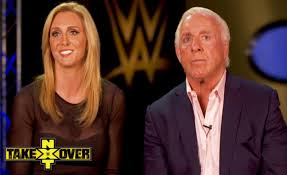 Image result for wwe superstar male and female