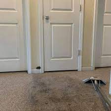 carpet cleaning in bartlett tn