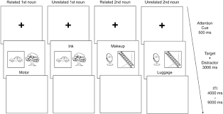 sequence of a trial in the experiment