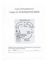Anatomy & physiology coloring workbook: Reproductive System Chapter 16 Key Answer