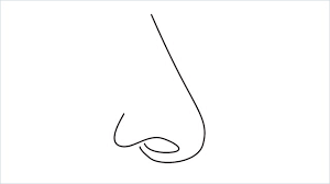 It may take several or more tries but in drawing practice will make you better. How To Draw A Nose Step By Step 14 Easy Phase Video