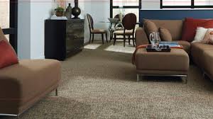 carpet installers in waynesboro va