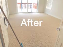 carpet cleaning results pictures