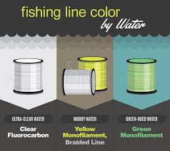 Can Fish See Fishing Line Fix Com