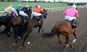 Equibase Information Assiniboia Downs Live Racing