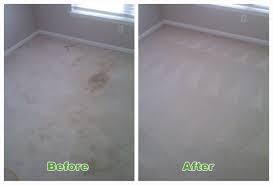 fast drying carpet cleaning charlotte