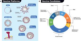 Several days after making some headlines with a press release about the data, the novavax vaccine effort has published on medrxiv. Frontiers A Snapshot Of The Global Race For Vaccines Targeting Sars Cov 2 And The Covid 19 Pandemic Pharmacology