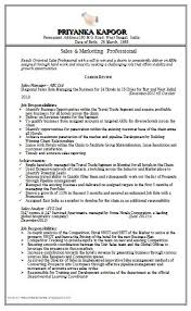 German Resume Sample  combined german cv sample   template              