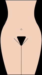One of says female pubic hair does not grow around the anus, and does not grown between the inner and outer lips. Pubic Hair Transplant Bauman Medical