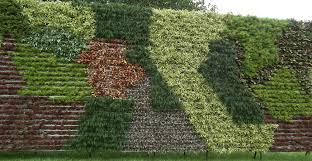 Build A Vertical Garden And Turn A