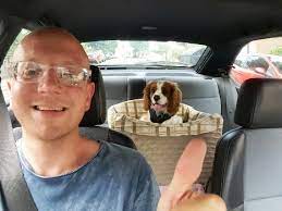 Solvit Dog Car Booster Seat Jumbo Size